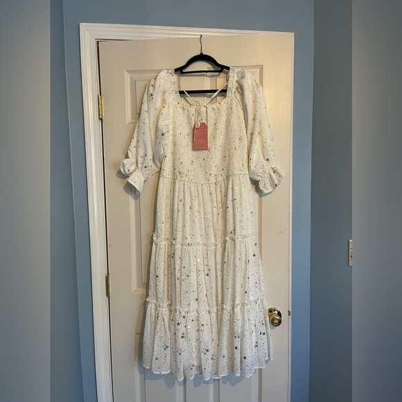 NWT Ivy City Co Midsummer Nights Dress XL - Picture 4 of 5